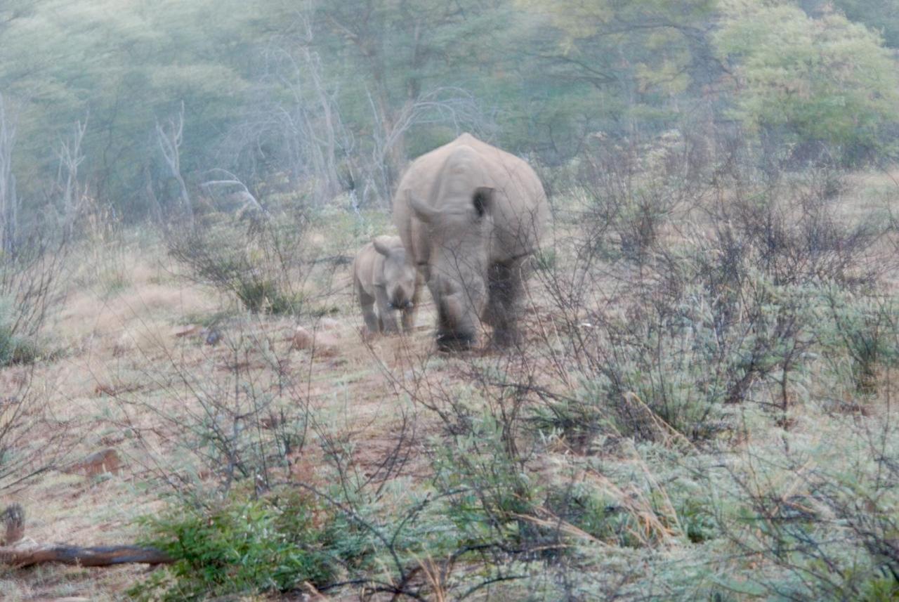 Kgorogoro Lodge Pilanesberg Buitenkant foto